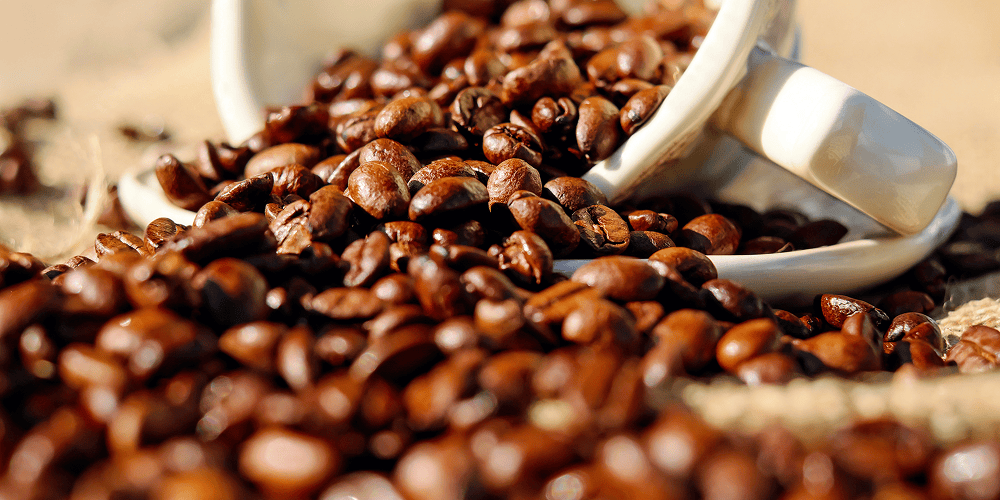 Lowlands Coffee